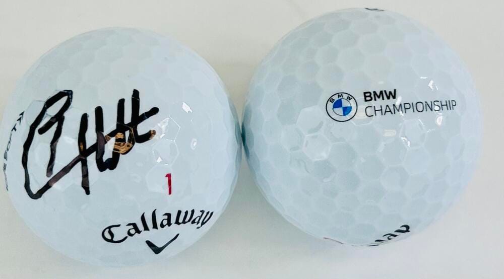 TYRRELL HATTON SIGNED 2023 BMW CHAMPIONSHIP GOLF BALL PGA TOUR OLYMPIA FIELDS K1